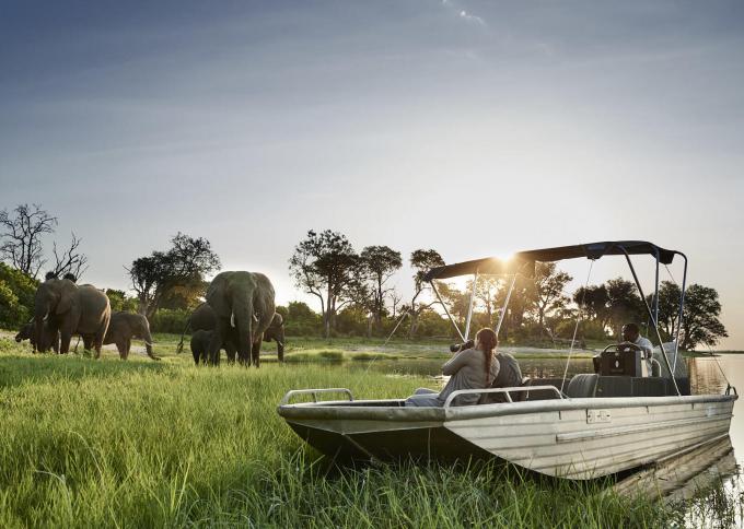 Rejs łodzią po rzece w Parku Narodowym Chobe